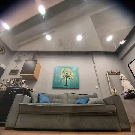 Alley's House